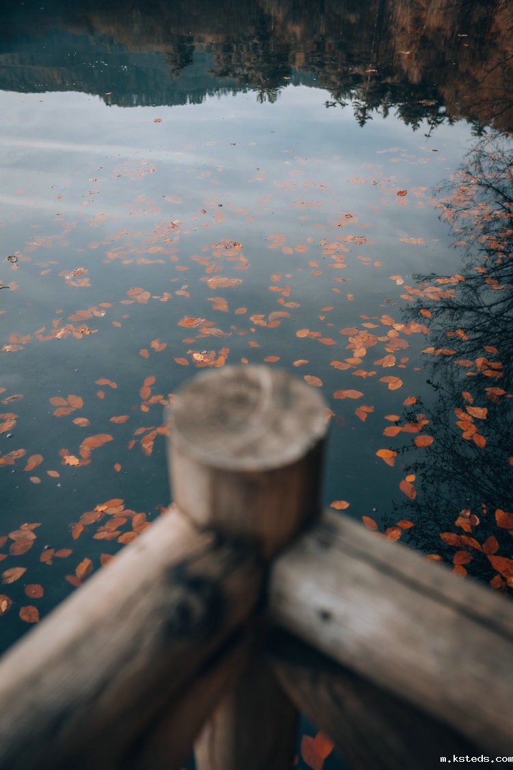 实验室氨氮快速比色测定仪 实验室氨氮快速比色测定仪