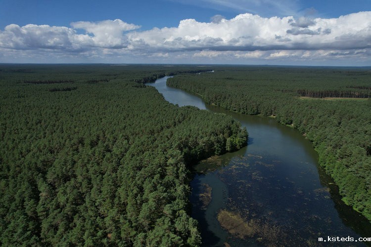 氨氮与总氮 氨氮与总氮