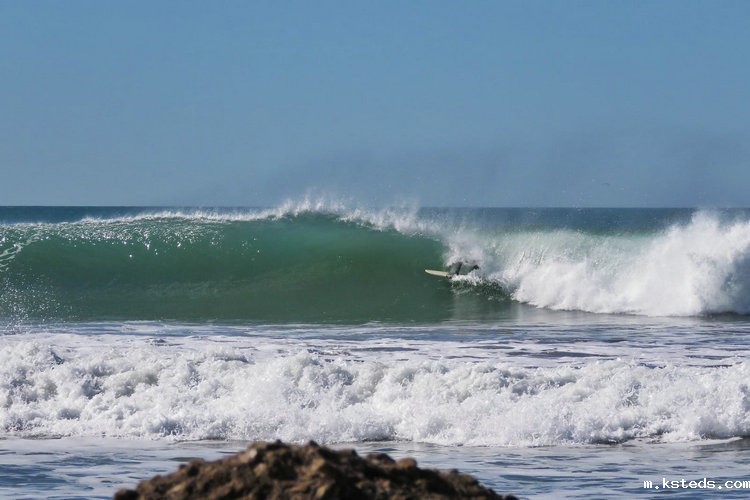 氨氮水质在线自动监测仪 氨氮水质在线自动监测仪