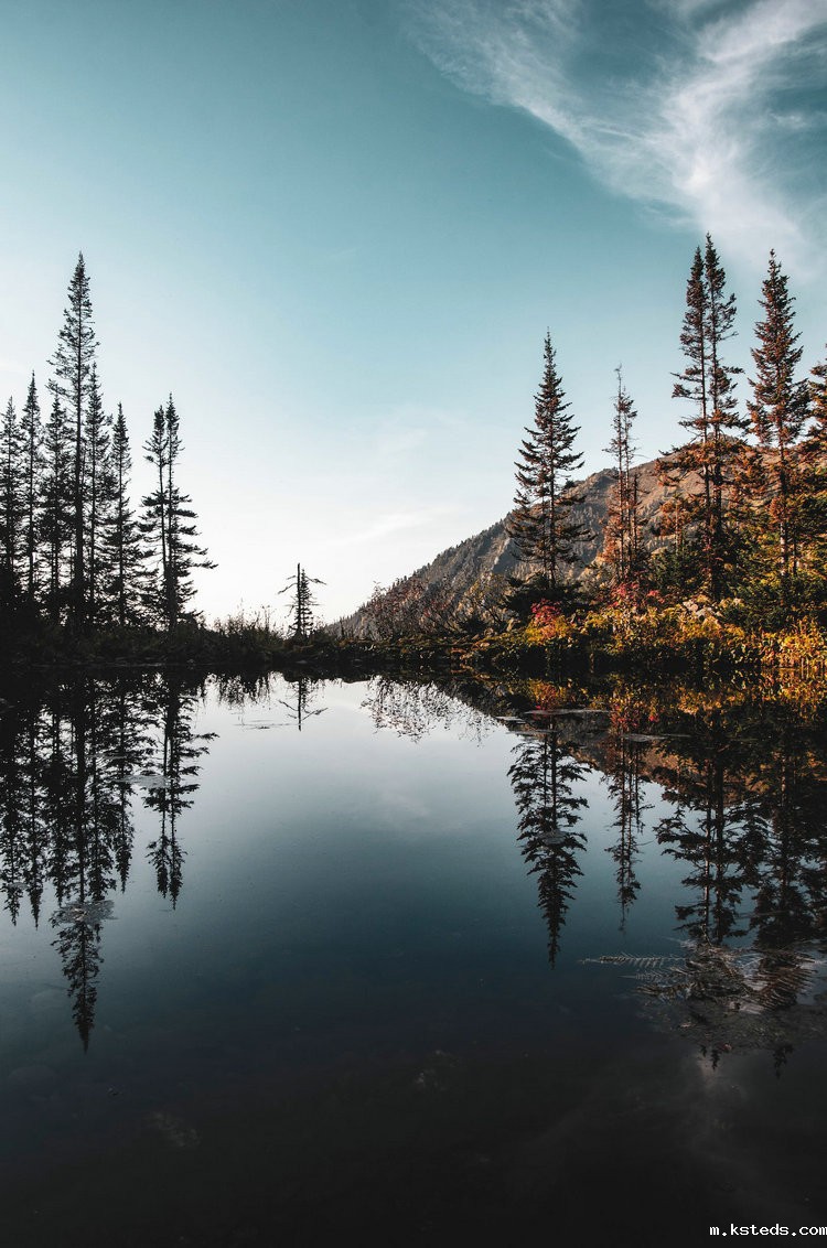 便携式氨氮测定仪 便携式氨氮测定仪