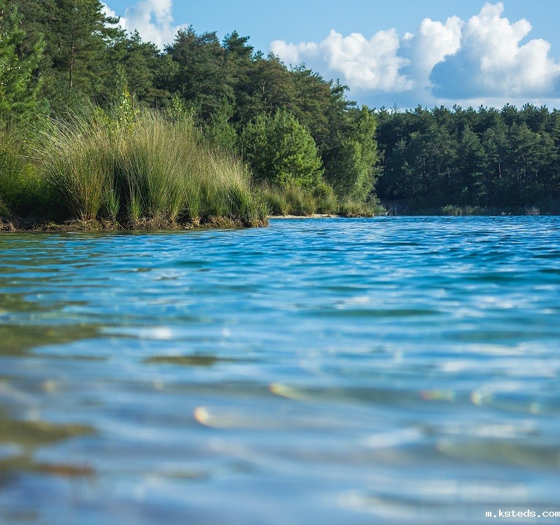 1681120000123436.jpg 67.jpg