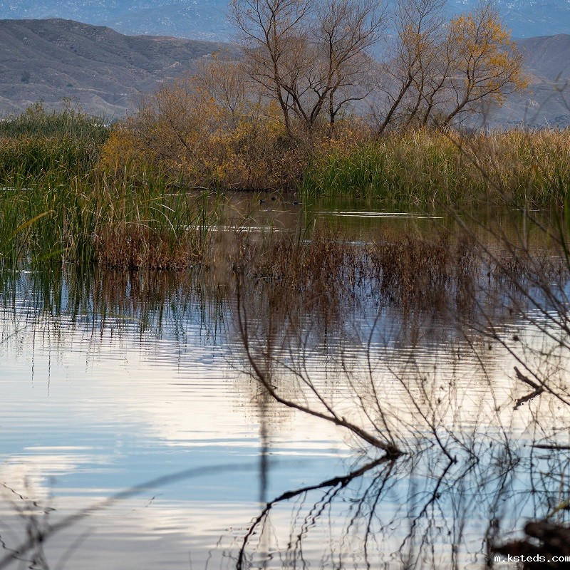 1681825097802204.jpg 54.jpg