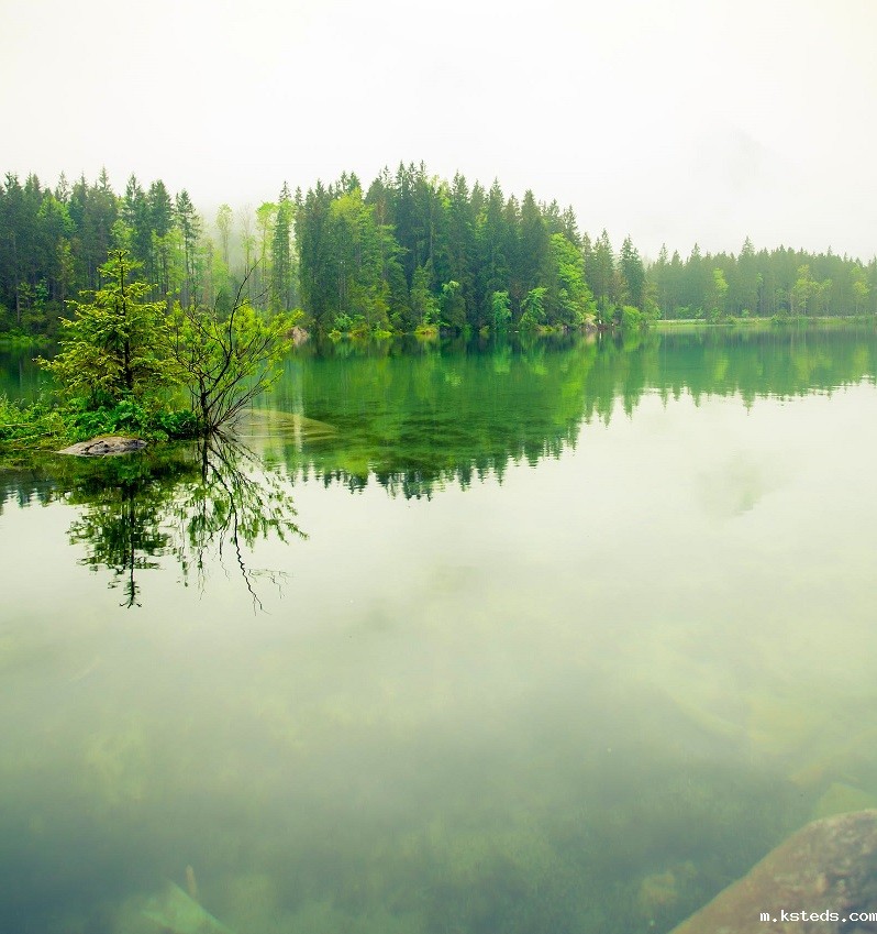 1681825904288202.jpg 34.jpg