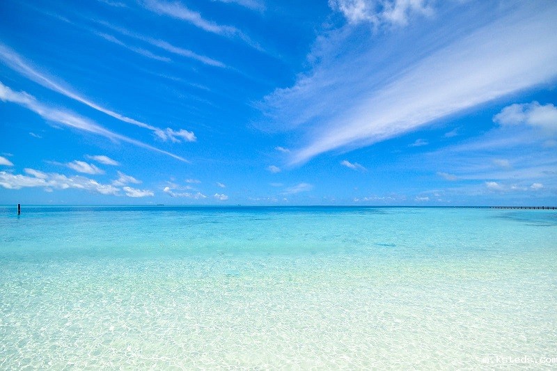 1681897947922776.jpg 102.jpg