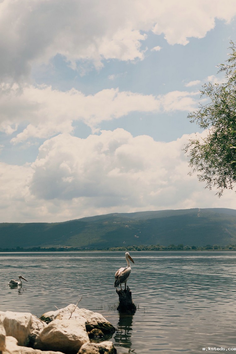 1687237969438982.jpeg 湖泊21.jpeg