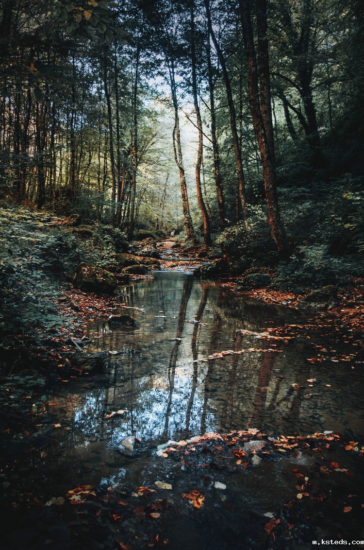 1687583222963776.jpeg 河流20.jpeg