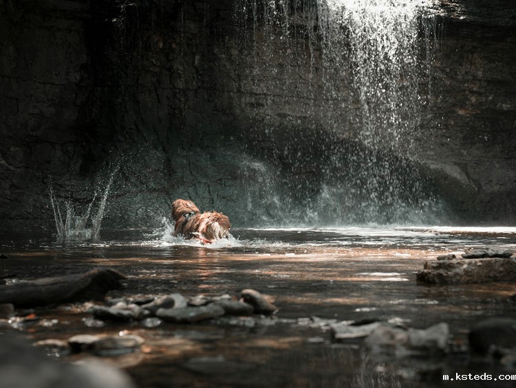 1687653732297859.jpeg 河流21.jpeg