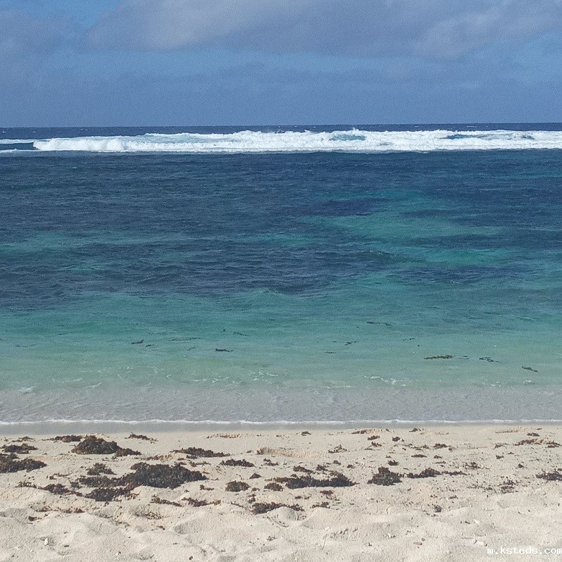 1687865946374281.jpg 42.jpg