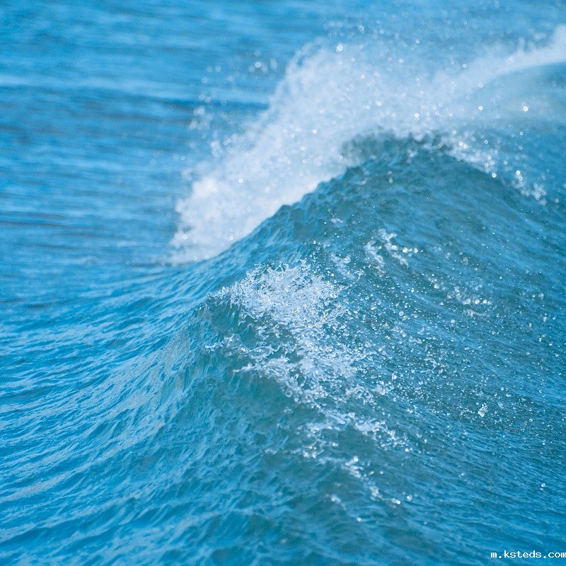 1688126605593579.jpg 51.jpg