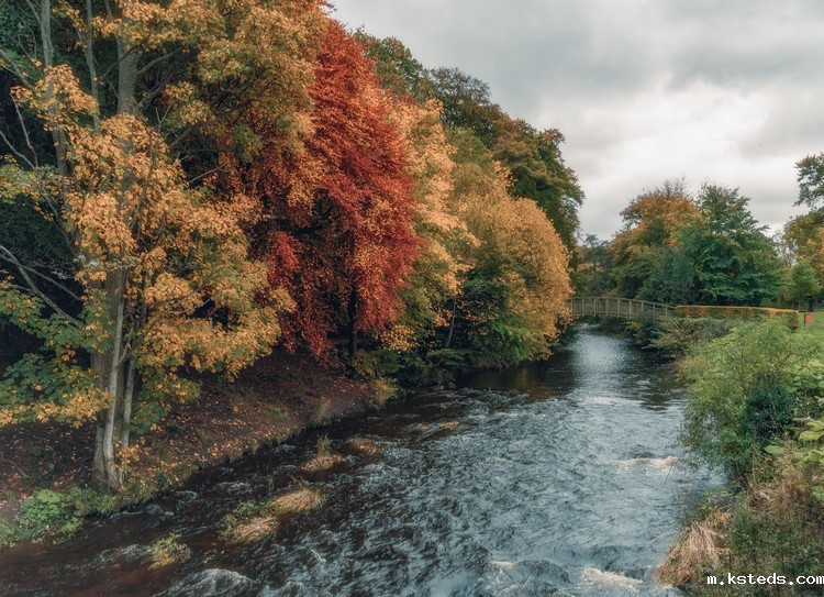 1688447751441938.jpeg 河流7.jpeg