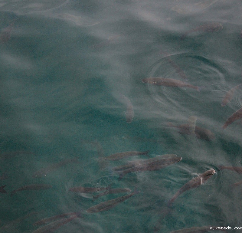 1688550278182964.jpg 64.jpg