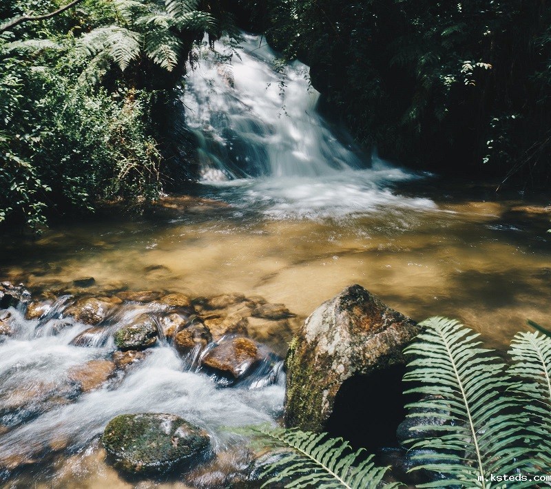 1689769928878542.jpg 117.jpg