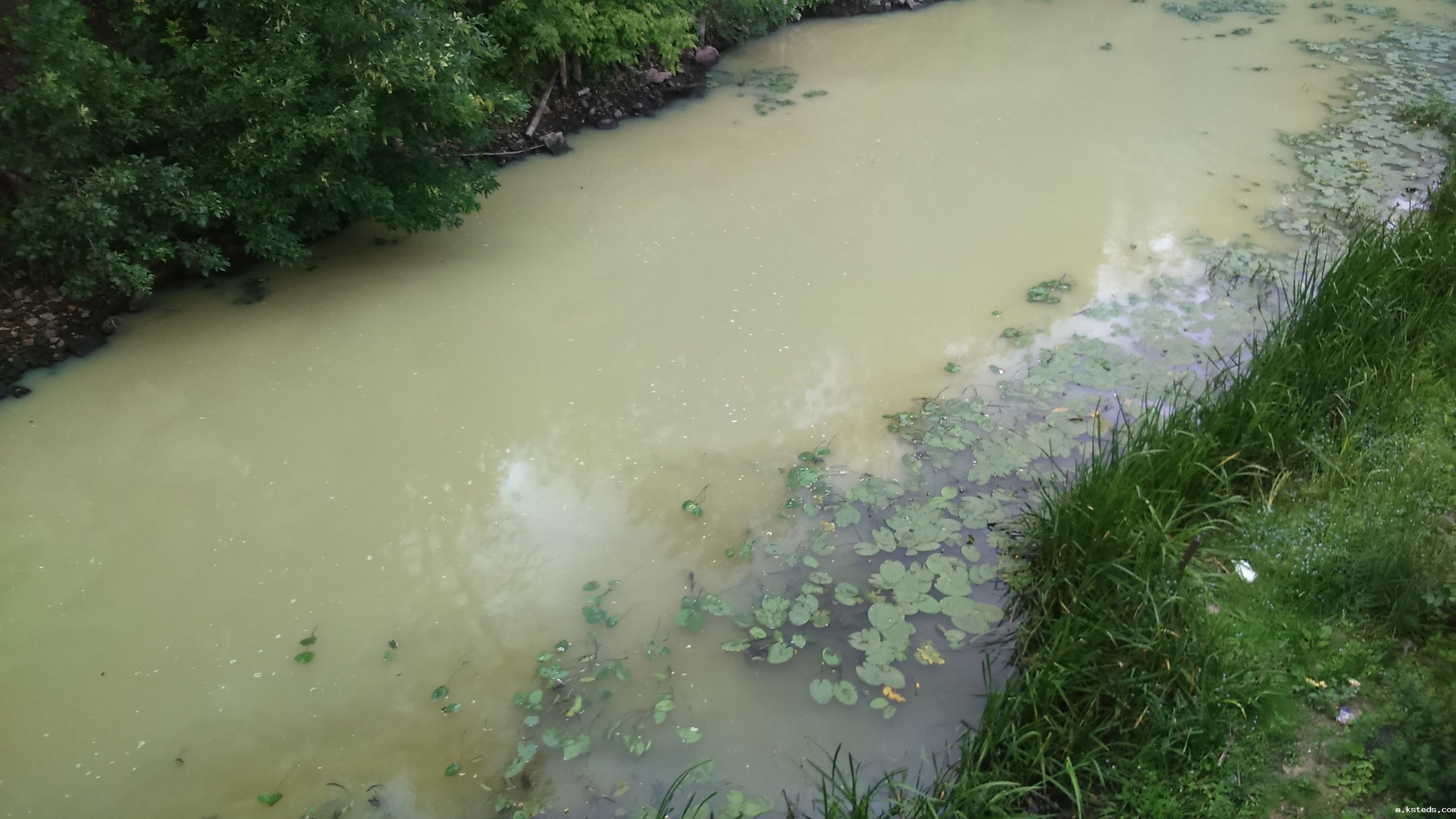 1690866957743872.jpg 202103171345466915.jpg