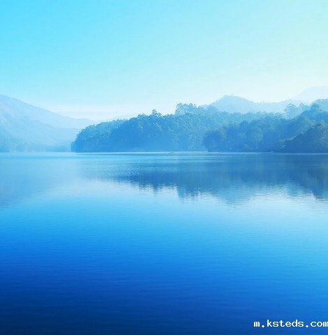 1690983130271143.jpg 12.jpg