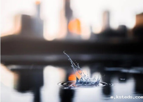 1691069538731738.jpg 14.jpg