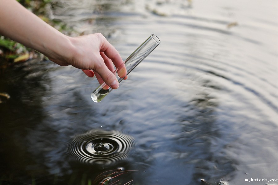 1691125916892476.jpg teto.jpg