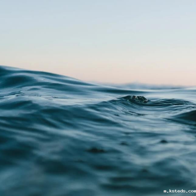 1691156901668232.jpg 22.jpg