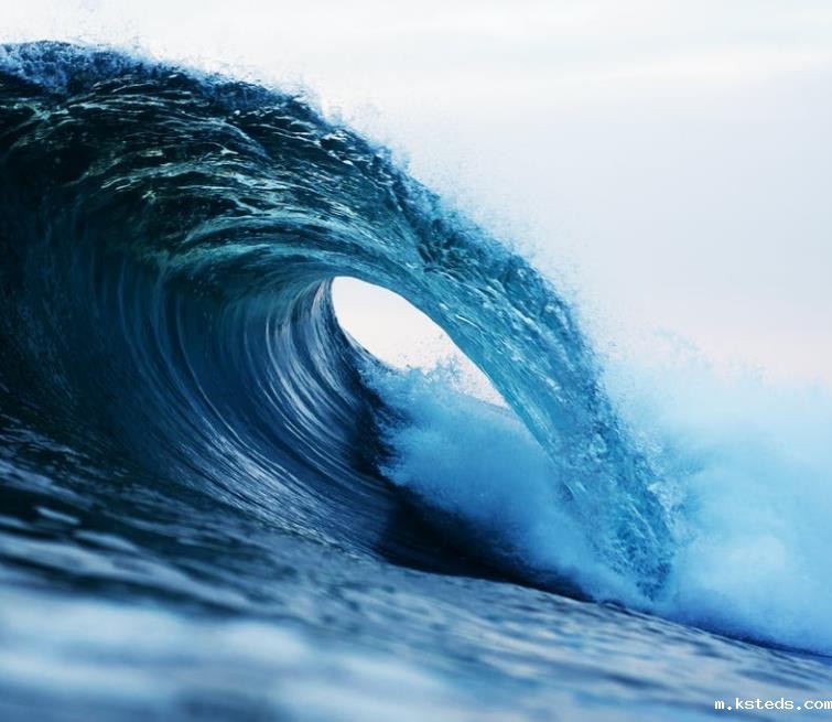 1691157361211144.jpg 23.jpg