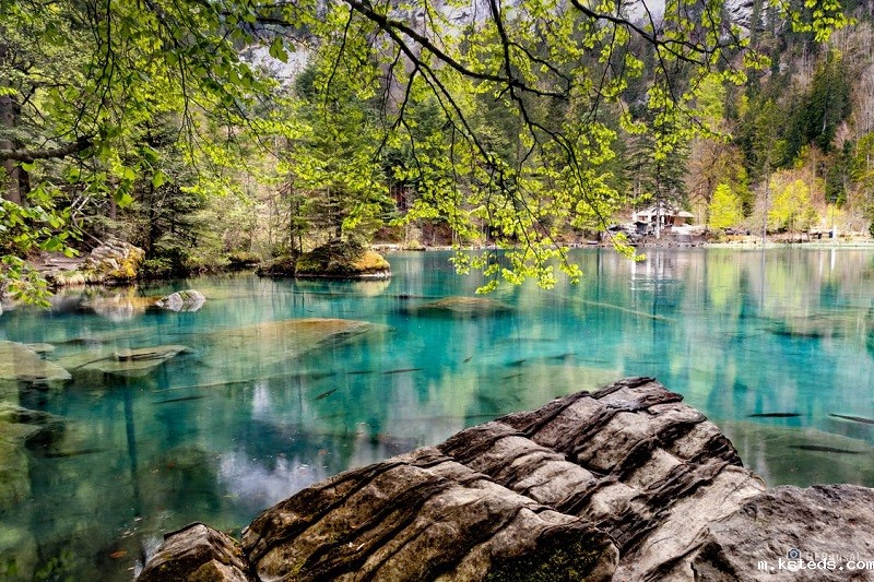 1691157806688787.jpg 25.jpg