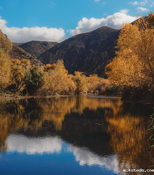 1691240483328814.jpg 26.jpg