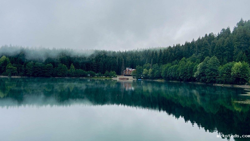 1691583229679489.jpg 40.jpg