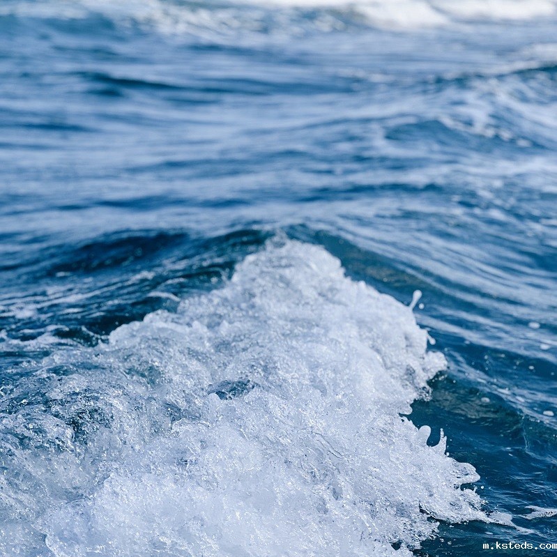 1691587553513551.jpg 41.jpg