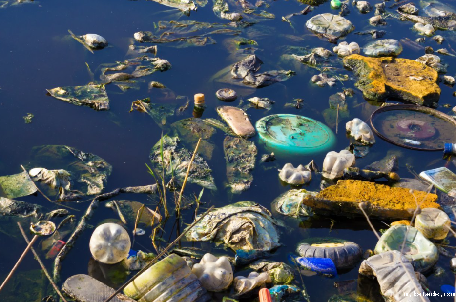 1695186980986949.png 202204011608004411.png