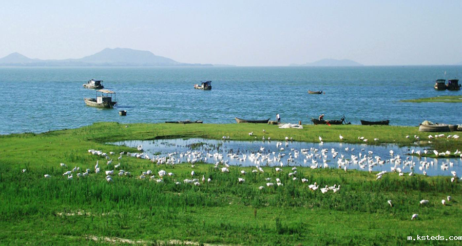 1696229619658291.png 54debf4cbd391fbdb834d5f48b166128.png