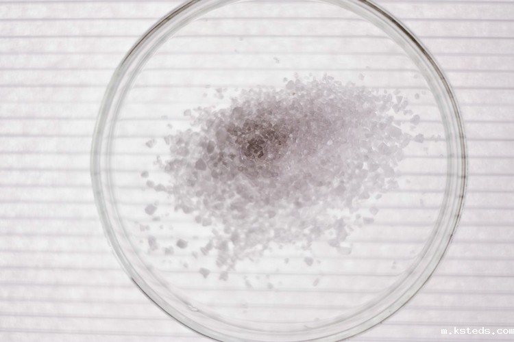 1697248380774016.jpeg 实验13.jpeg