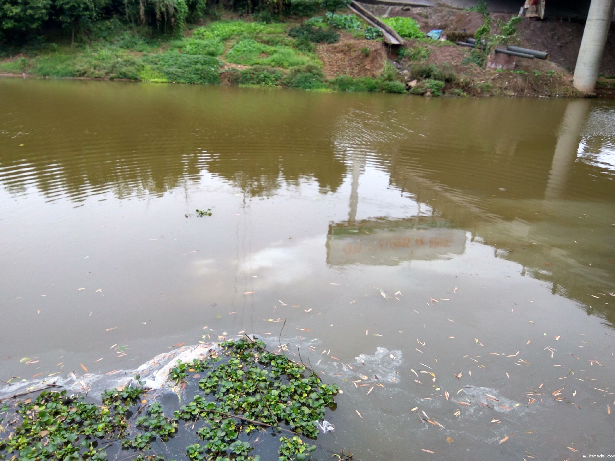 1697677242101553.jpg 1-210630110F0255.jpg