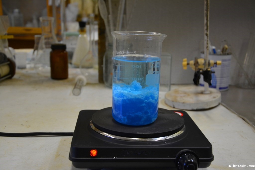 1701840216404855.jpg 202106301610424696.jpg