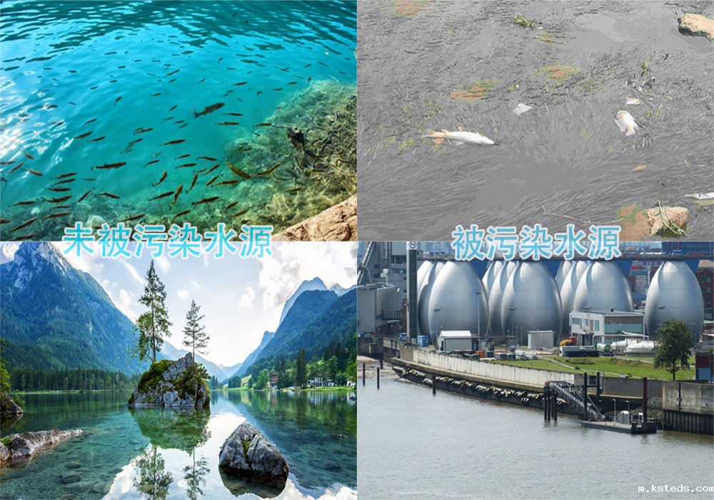 1702602928445065.jpg 1-1ZQ510422S40.jpg