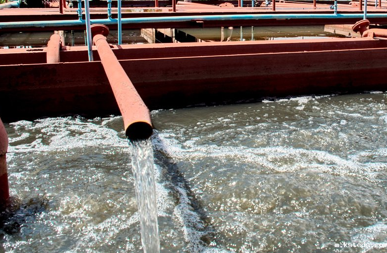 1702947552100229.png 202206151703270720.png