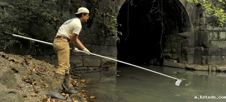 1705125062168539.png 202206021539484386.png