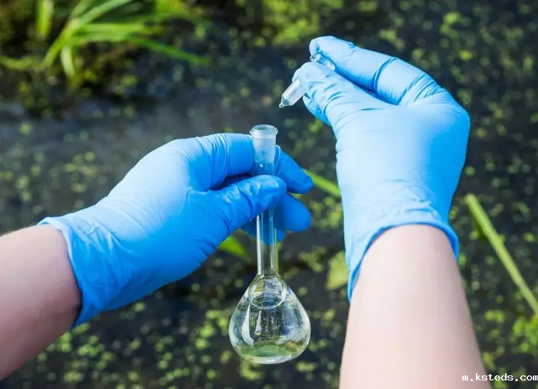 1708578807695098.png 202203241518304810.png