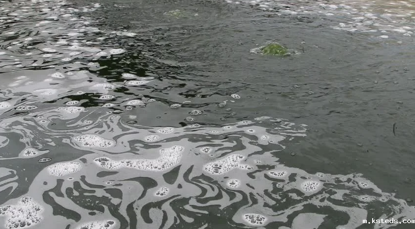 1710896483832714.png 202204201404440089.png