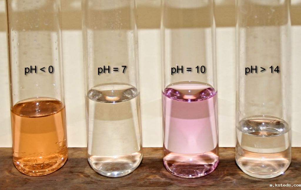 1713144708117454.jpg 202012241534050932.jpg