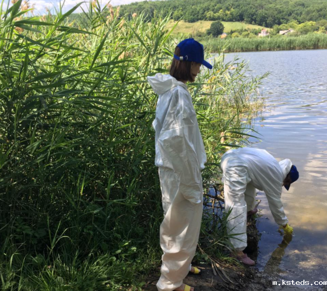 1715044129239131.png 202203081653020349.png