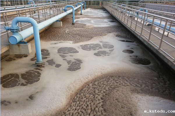 1717635335894505.png 1-1ZH5100635W9.png