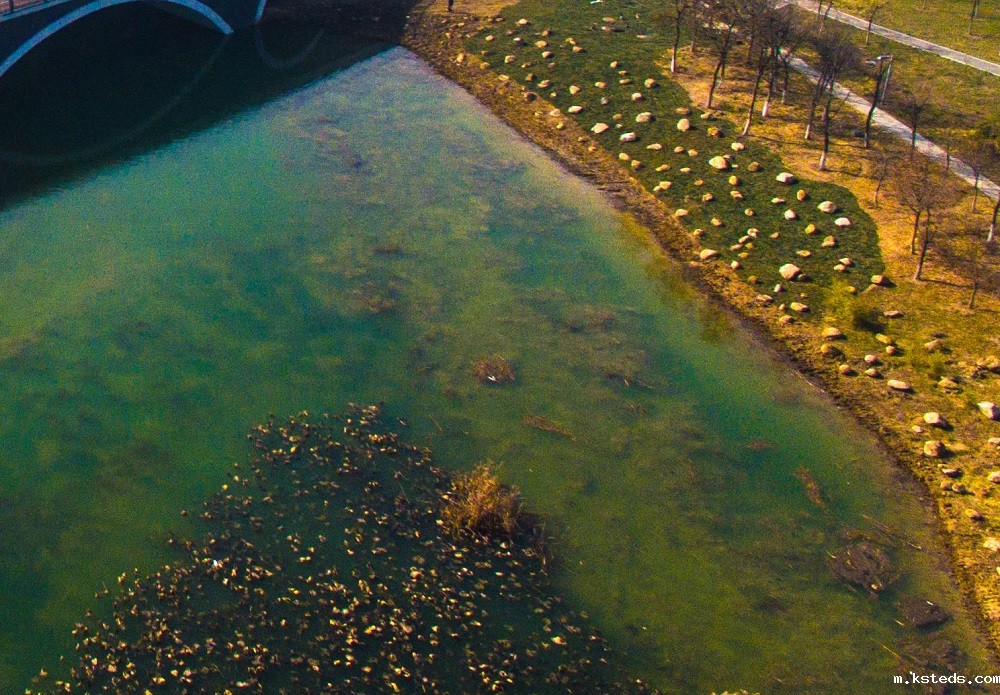 1717808491944985.jpg 1-210G3135636351.jpg