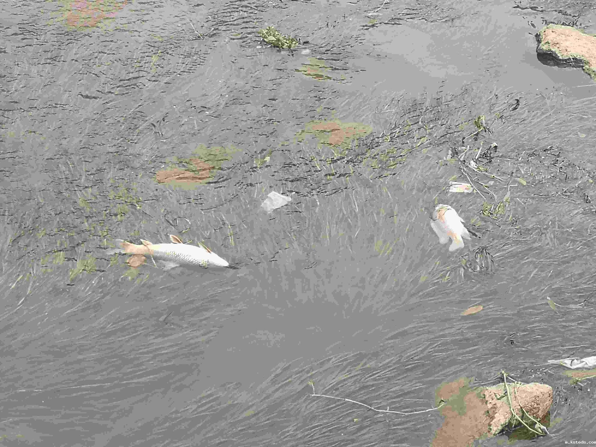 1721696099929970.jpg 1-1ZR2093P5434.jpg