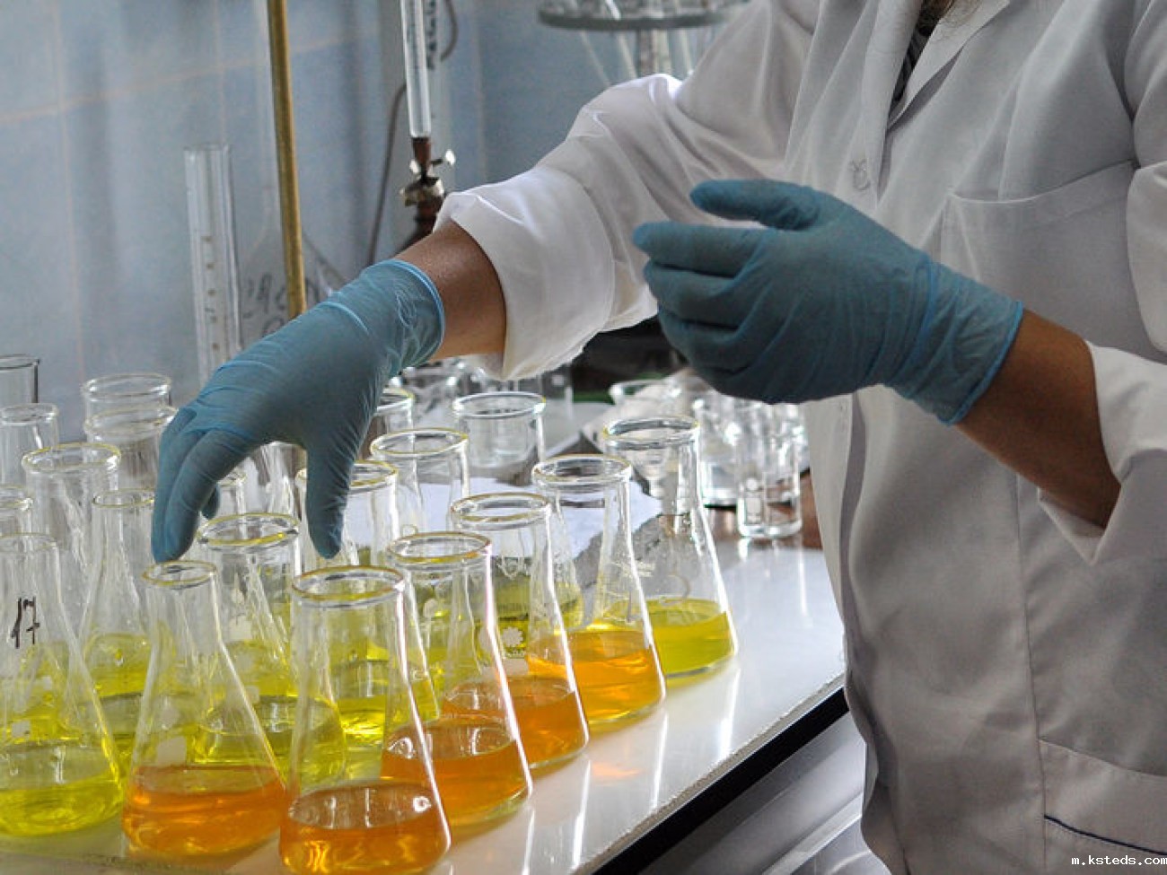 1724375250899439.jpg 202104131532122358.jpg