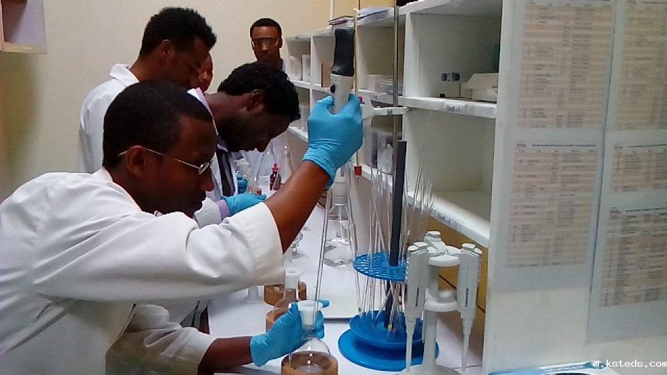 1729558718149926.jpg 202009031710250859.jpg