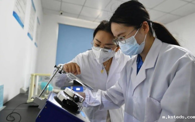 1730856713127368.jpg 342.jpg