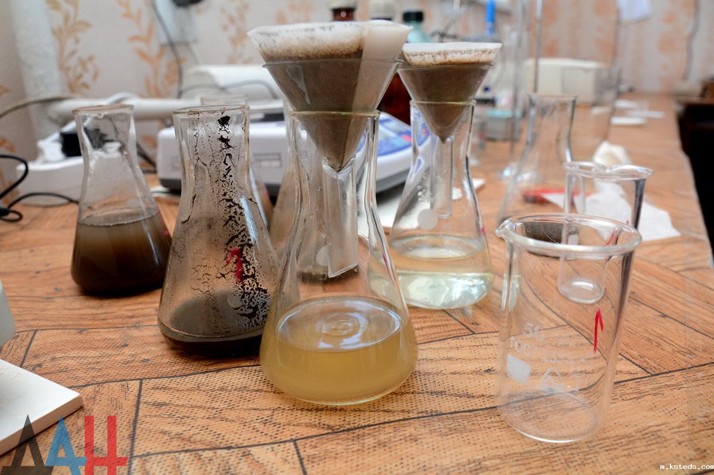 1730942844588257.jpg 202406131452106772.jpg