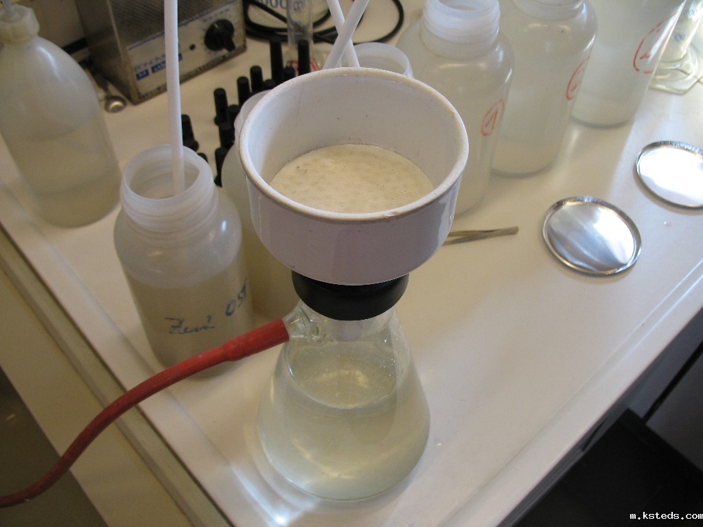 1731033701462176.jpg 202103171346424359.jpg