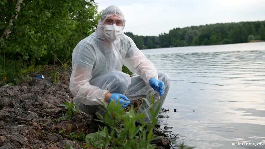 1732756786381876.jpg 202408281127340534.jpg