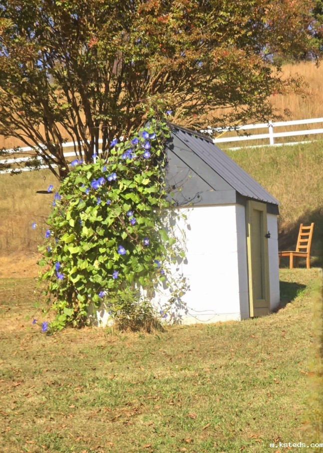 1732928813949551.jpg 123213.jpg