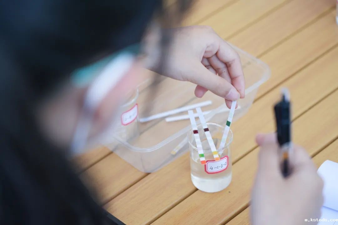 1733361647181987.jpg 111.jpg