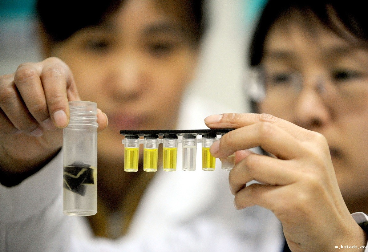 1734311820392955.jpg 15.jpg